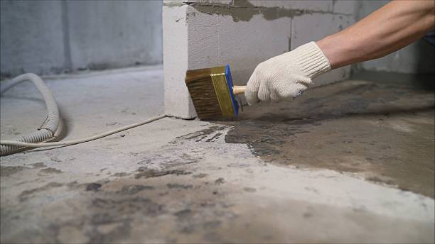 SJ Waterproofing Pros Exterior Waterproofing coverage map for Niles, MI and surrounding area
